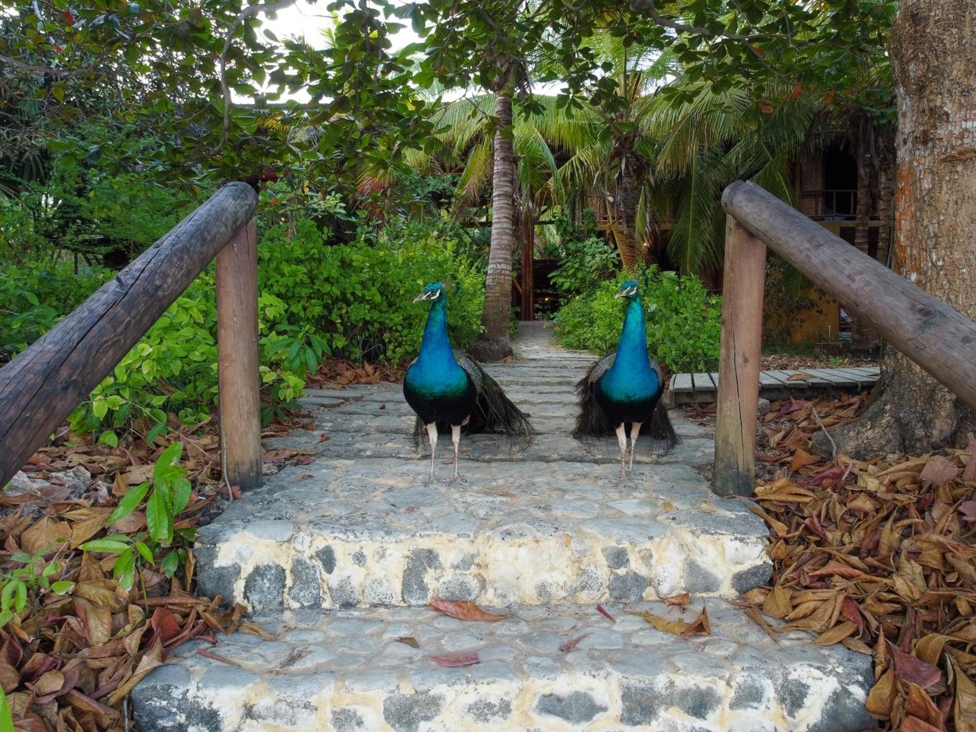 Isla Fuerte Eco House Villa Puerto Limon Bagian luar foto